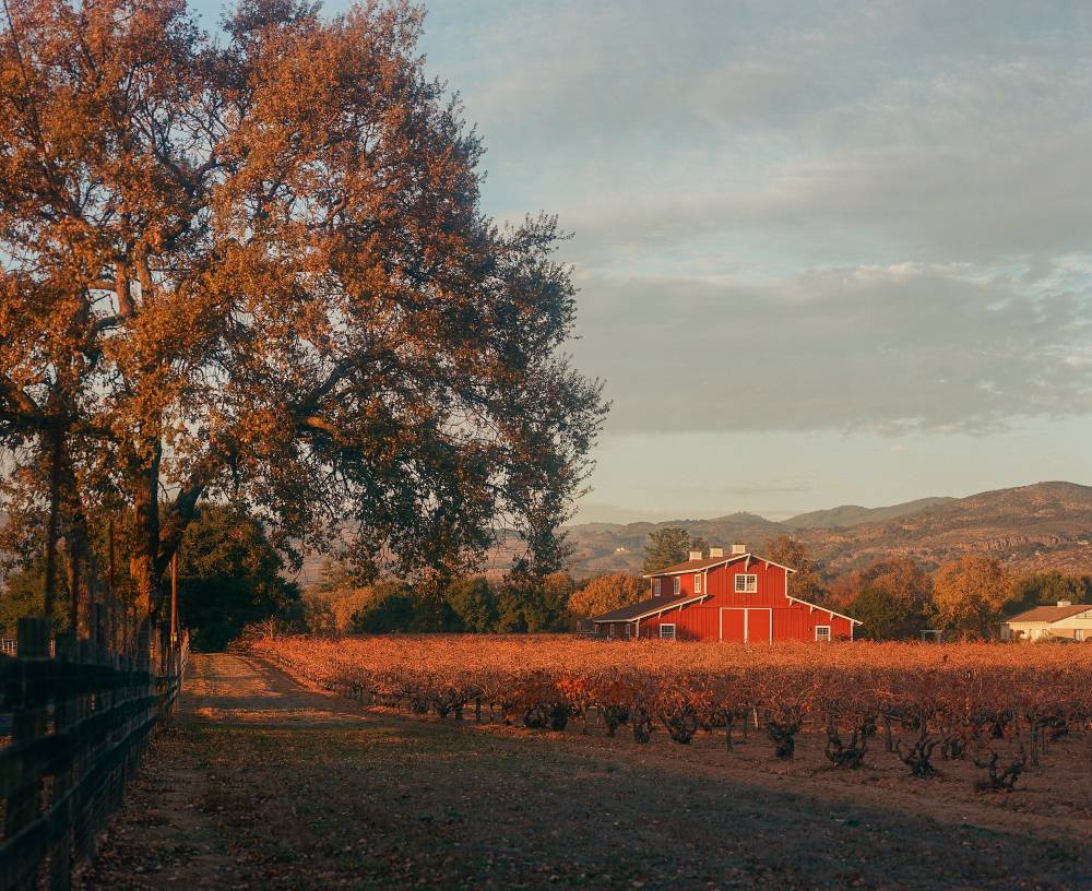 Red Barn in Napa