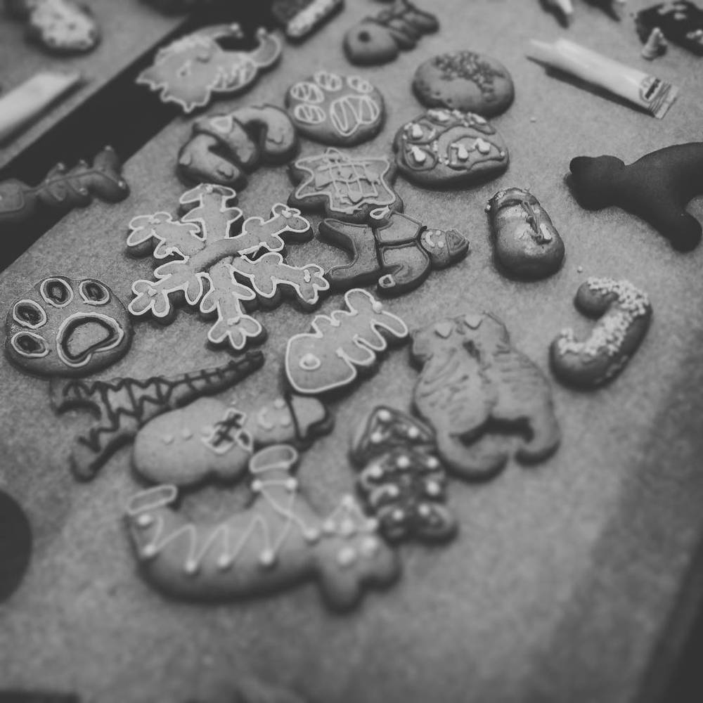 Dec 11, 2016, photo 1 of 1