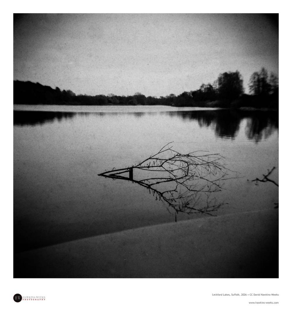 Lackford Lakes, Suffolk, 2026