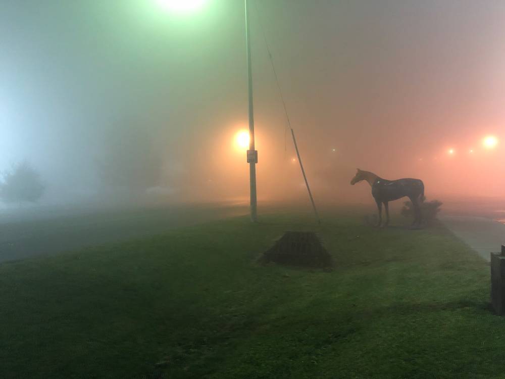 Two distinctly different shades of streetlight in the night fog. Two glowing areas have a blue green tint to them and two have a yellow orange red tint to them. 