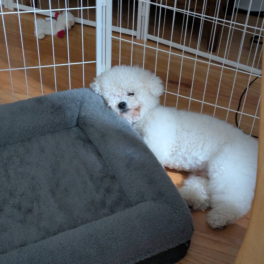 Sleeping while mommy and daddy have dinner
