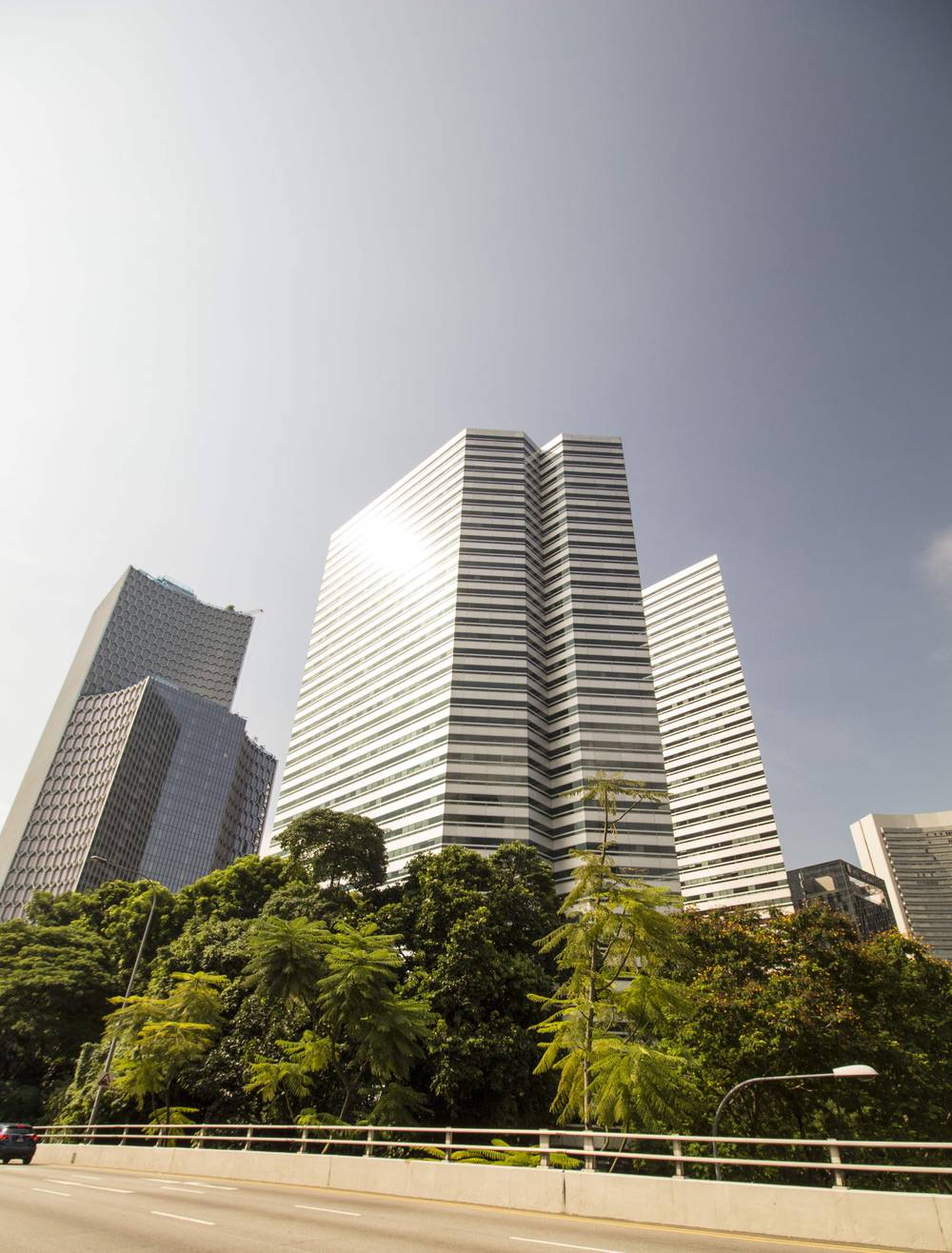 Modern office towers rise above street-level greenery.