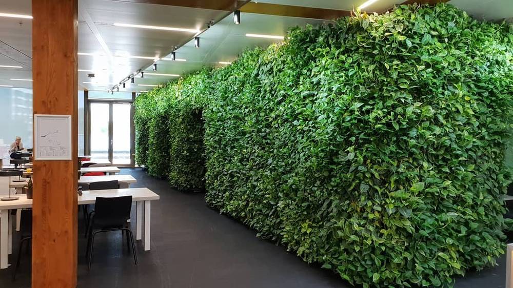 An office space with a living green wall along one side.