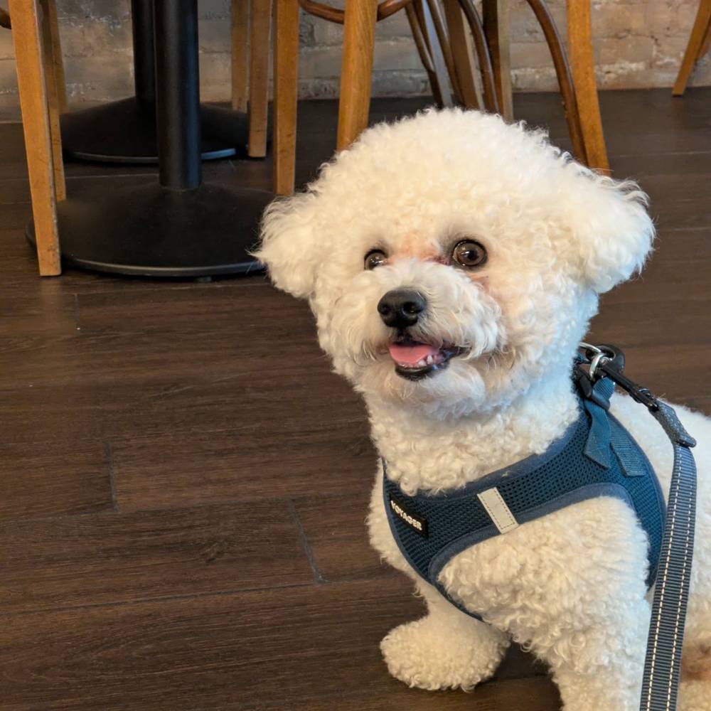 When you're getting a treat, but it's taking too long 😔, photo 1 of 2