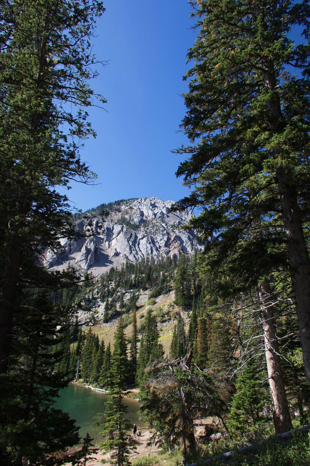 Canon PowerShot G7 X Mark III
f/4 1/800s

Auto Generated Text: Two large evergreen trees frame a steep, rocky mountain peak in the distance under a bright blue sky. The lower slopes of the mountain are dotted with dense forest and patches of exposed rock faces.