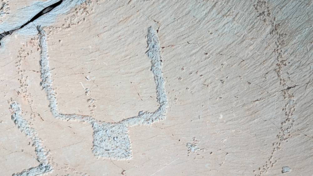 Petroglyphs
