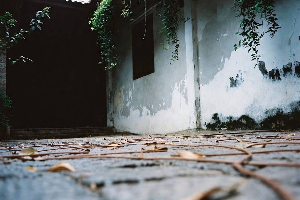 Things That Stay, photo 2 of 10