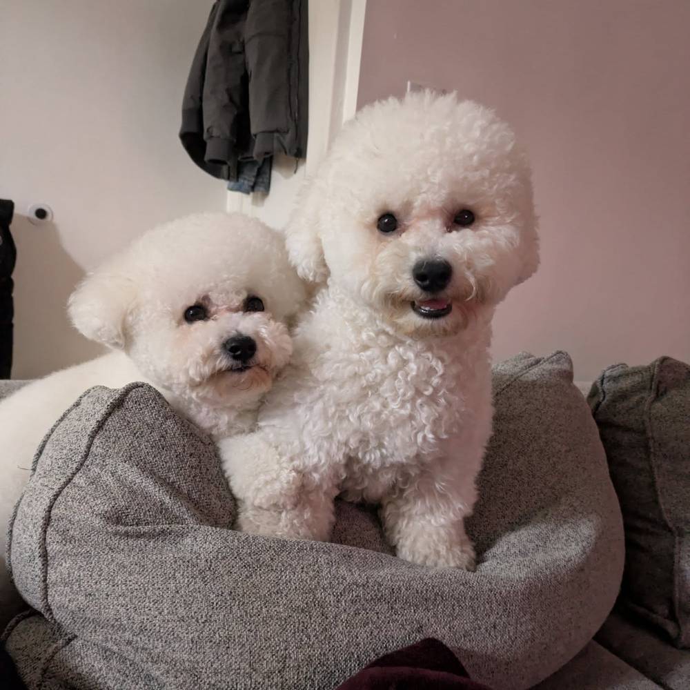 Two cute boys!, photo 1 of 1