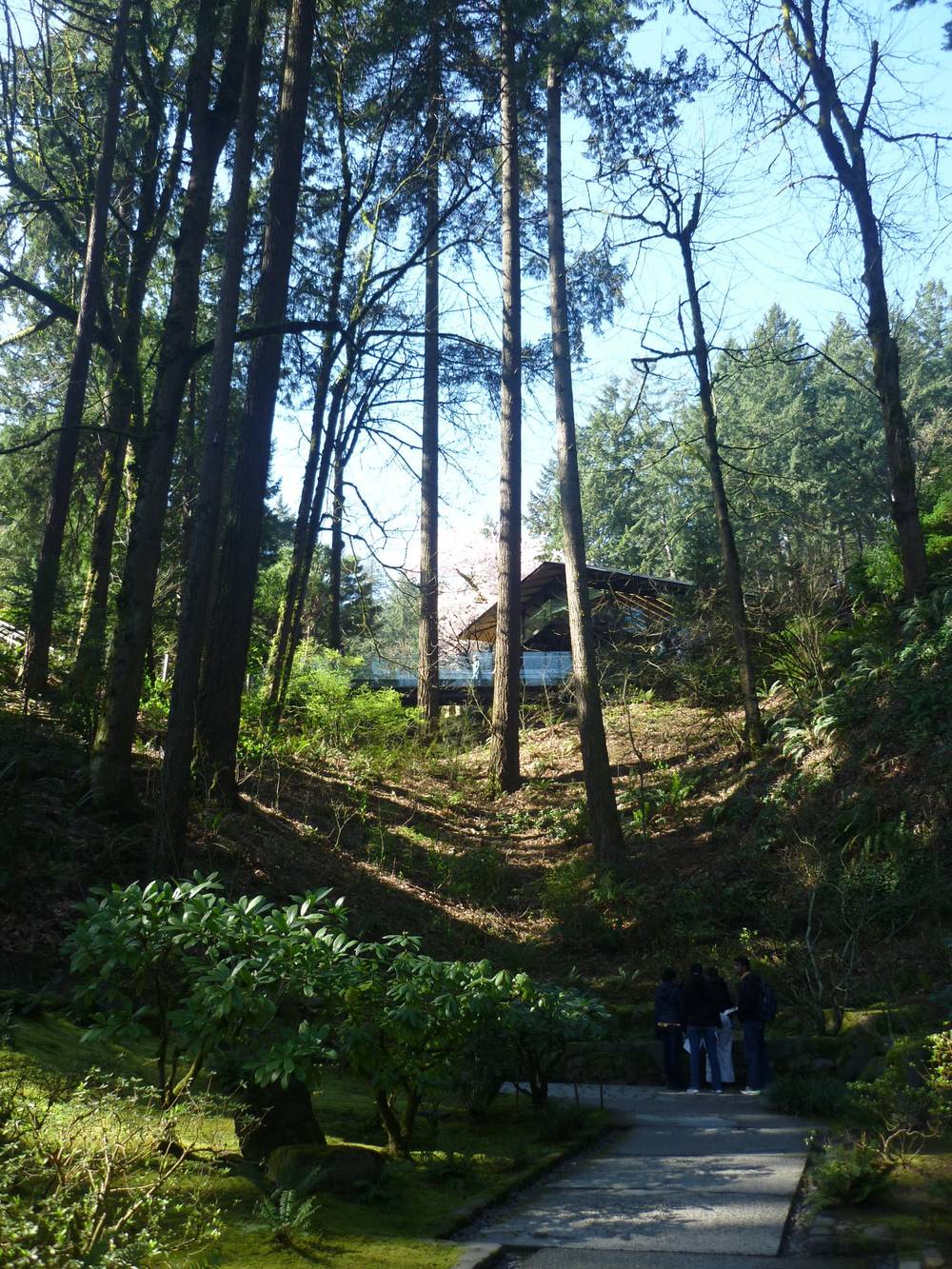 japanese garden