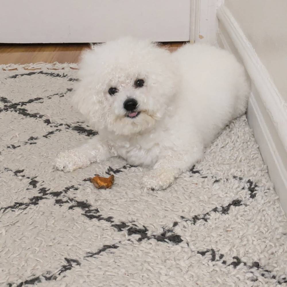 Post bath sweet potato 🍠