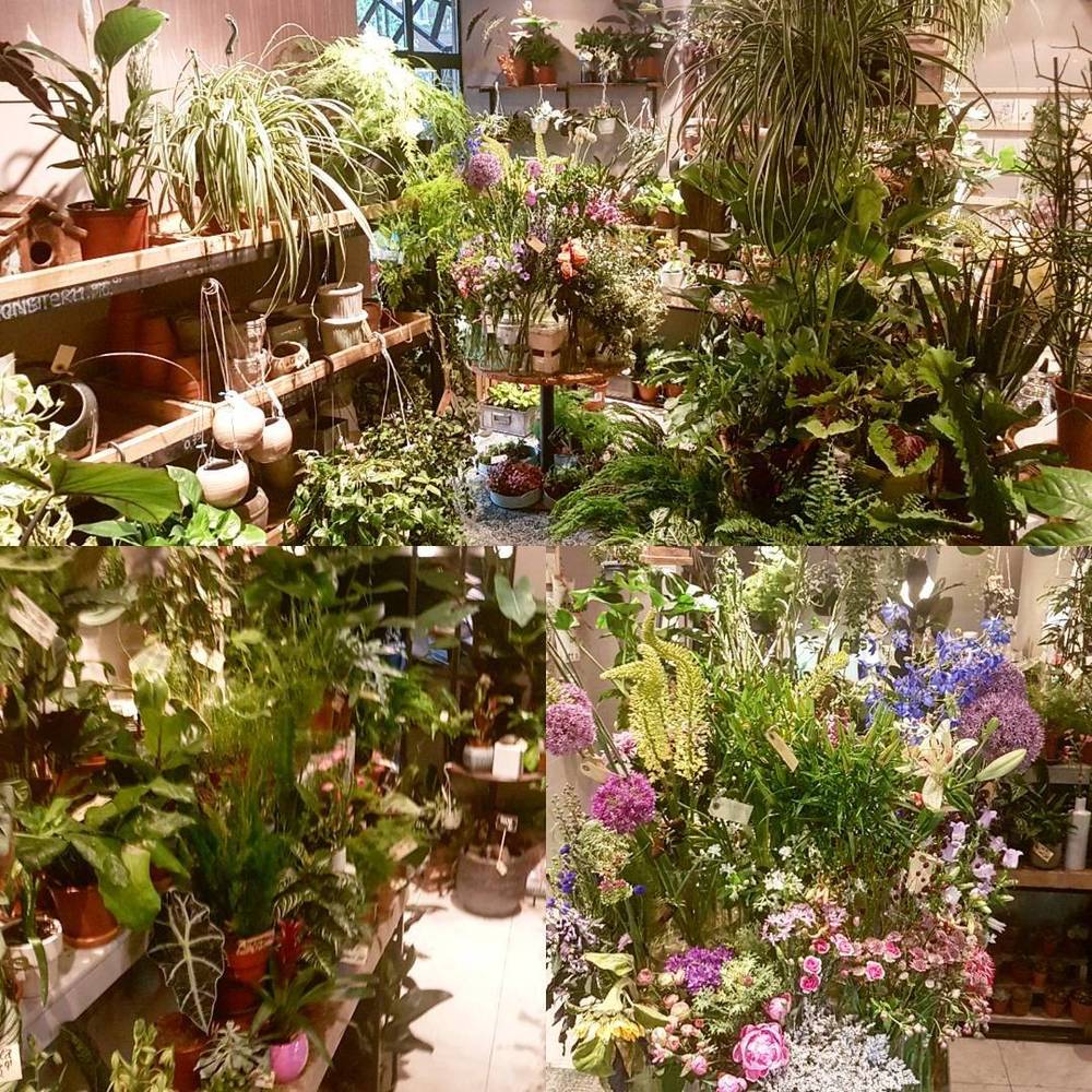 A collage of a flower shop crowded with potted plants and colorful floral bouquets.