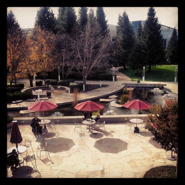 An outdoor courtyard with red umbrellas, tables and a small pond, autumn trees in the background.