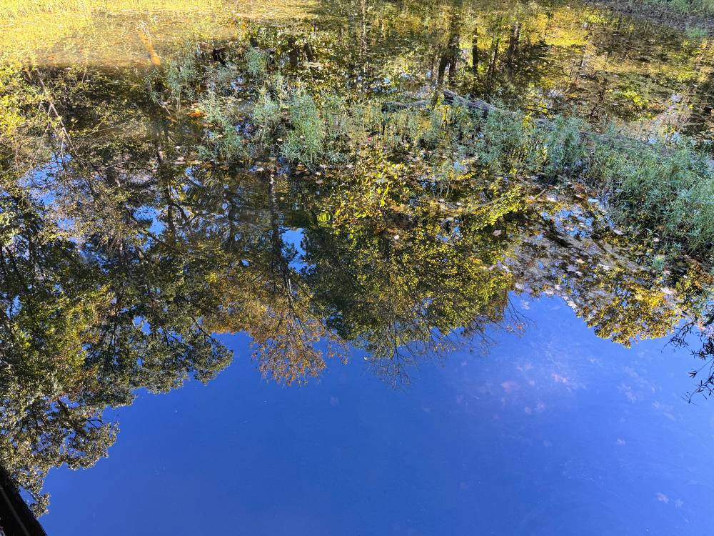 An Autumn Reflection