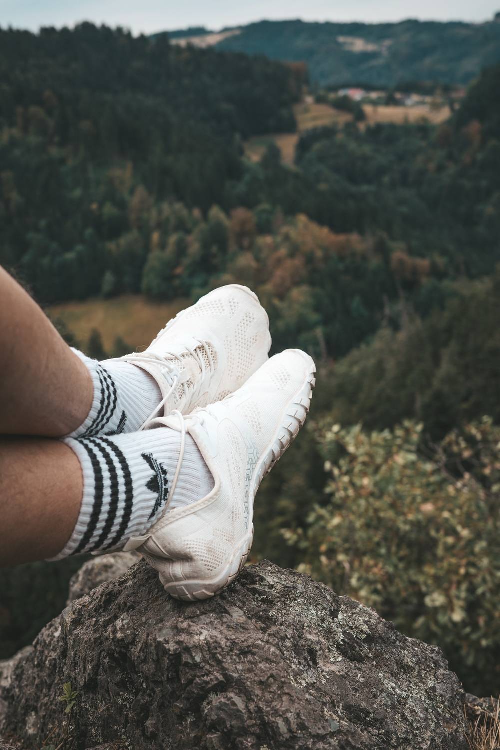 On the Trail