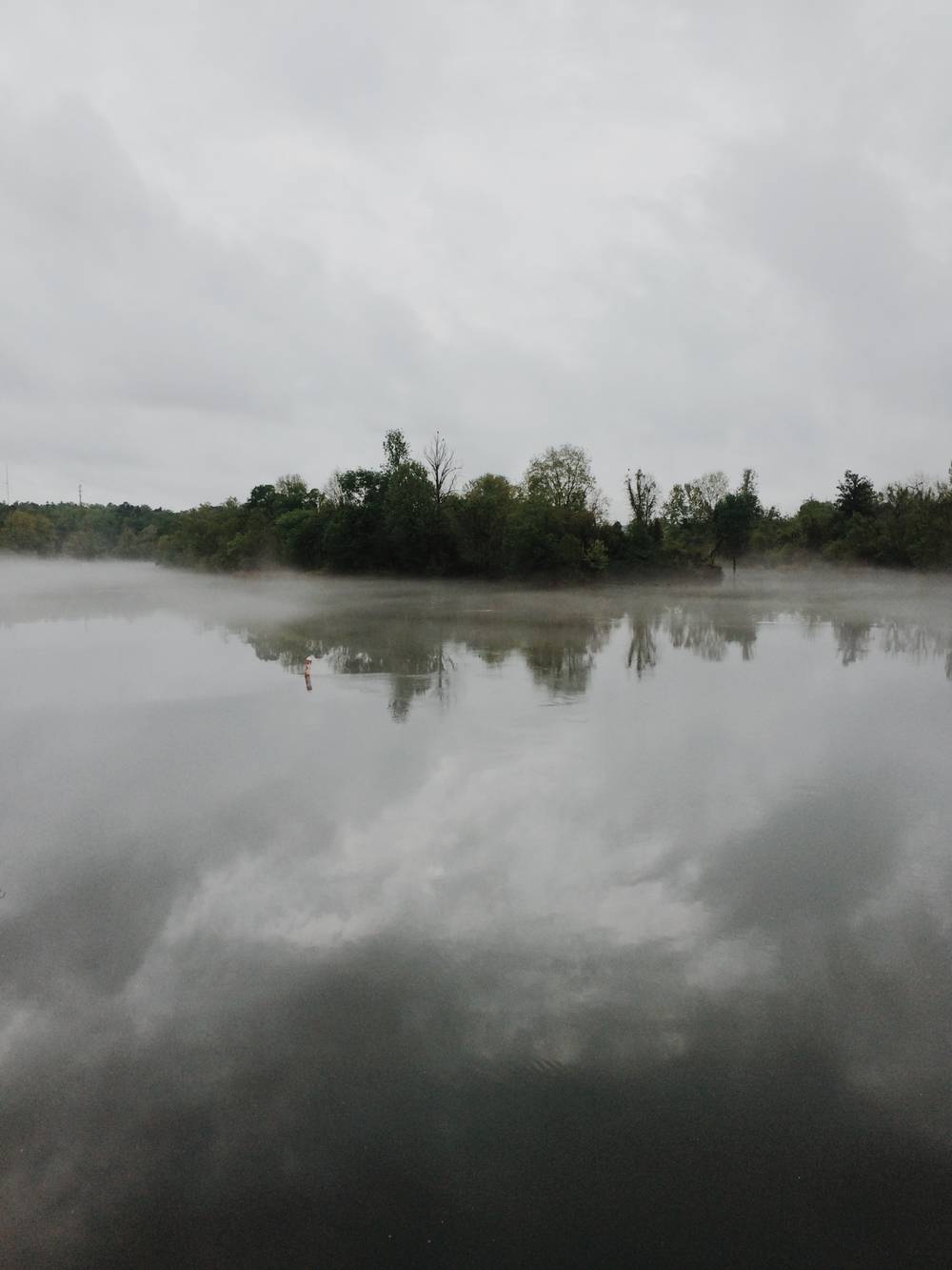 Portrait image of a body of water reflecting the clouds and trees on the horizon almost perfectly.