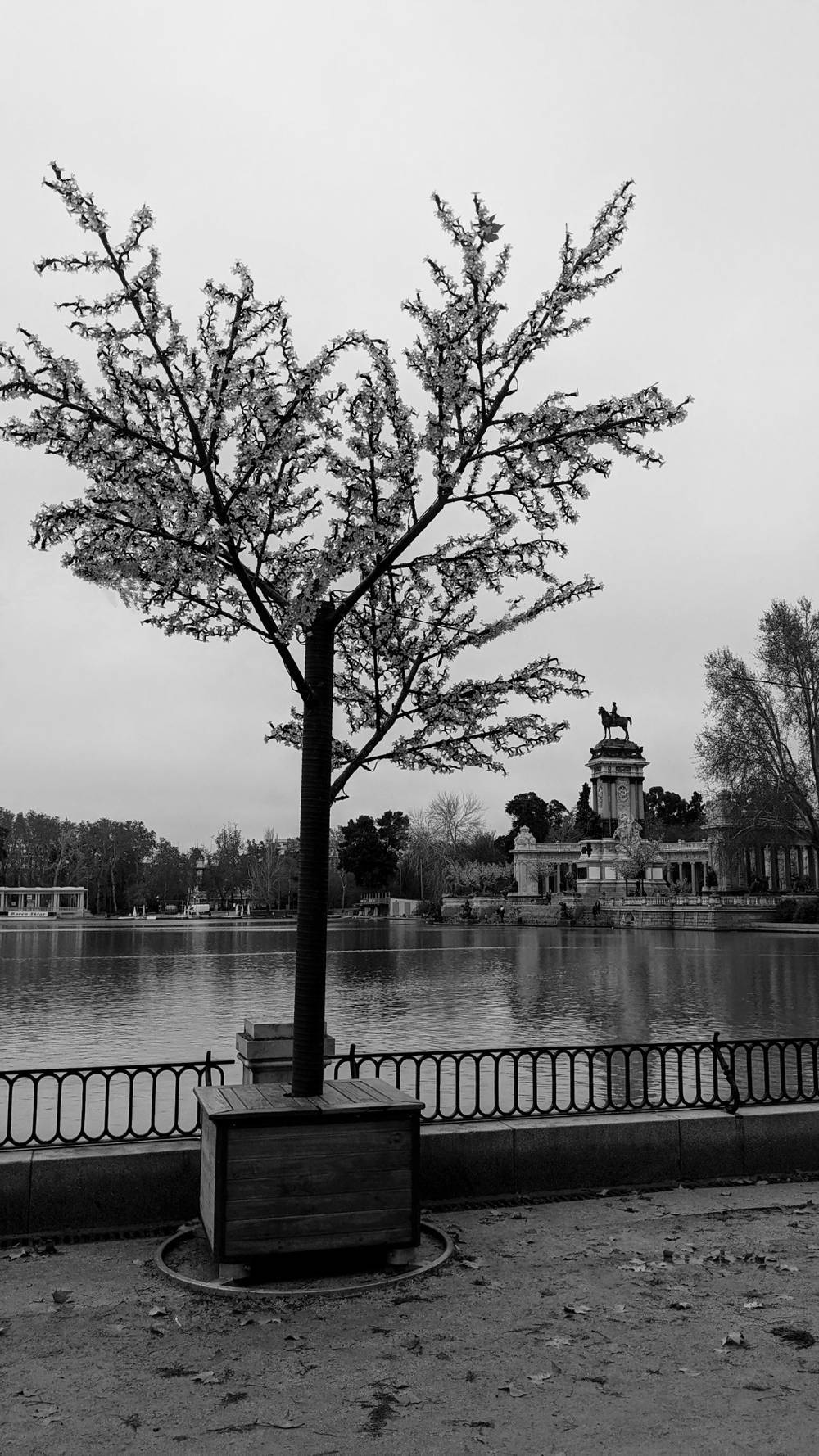 Madrid