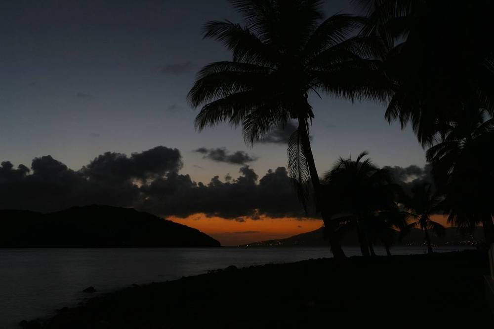 Silhouette of a palm tree against a dusk sky over the sea.