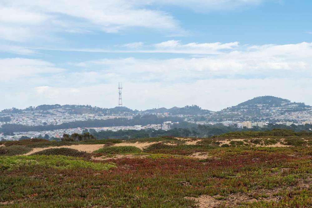 Fort Funston Funtime