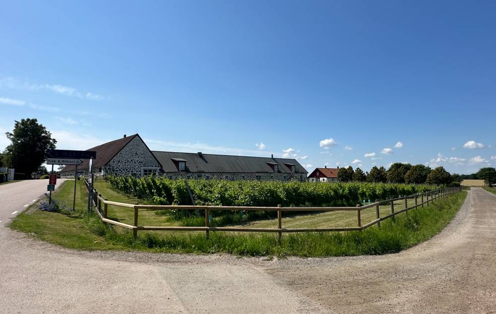 Wineculture in Sweden