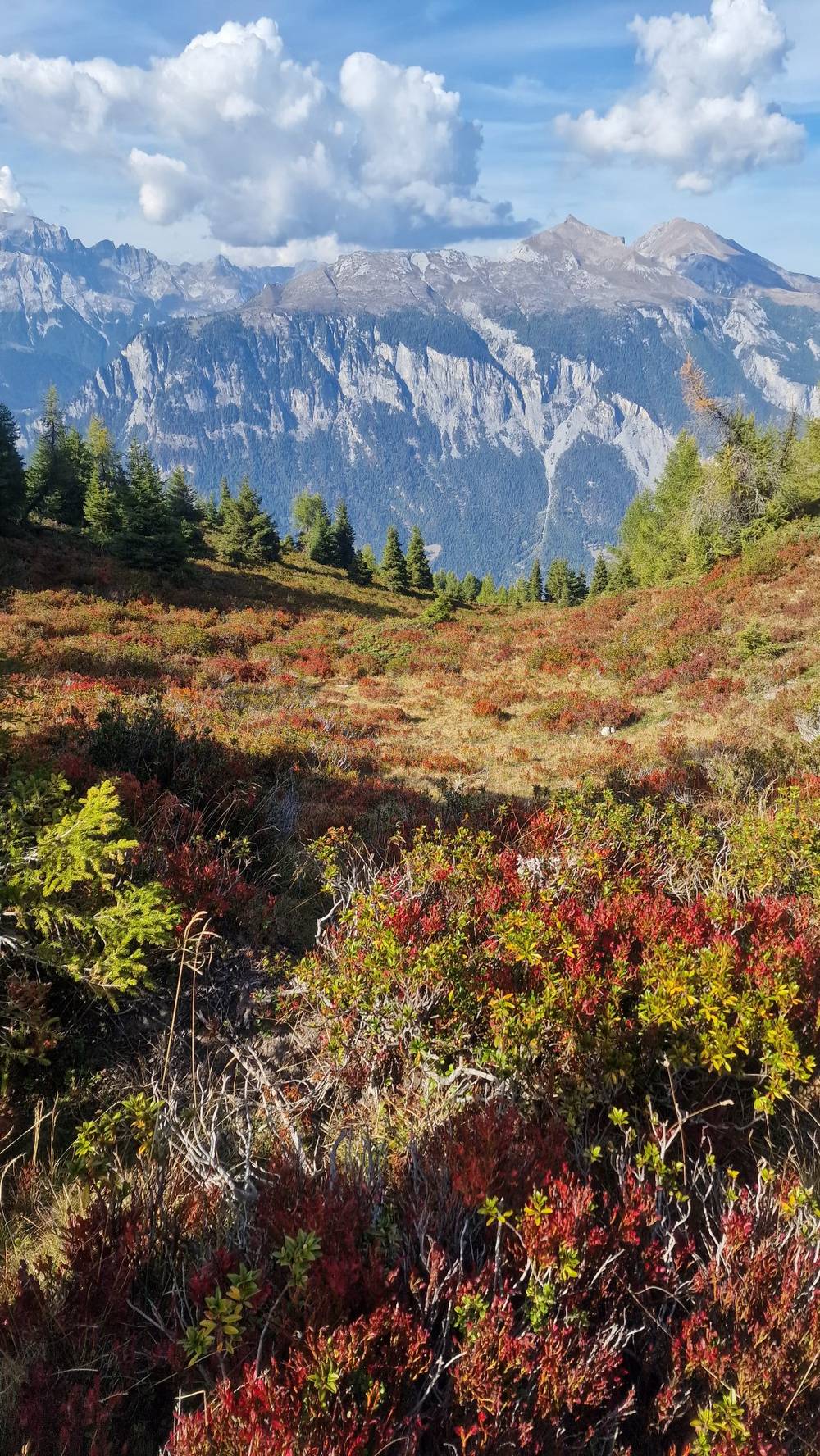 A vibrant mountain valley during early autumn, framed by a steep mountain range under a partly cloudy sky.
