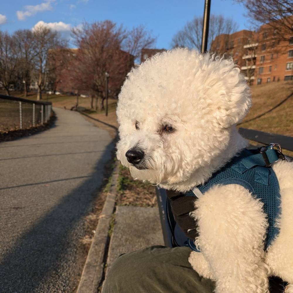 Wind in my hair, sun in my face 😌 Yesterday we had a good day at the park., photo 1 of 1