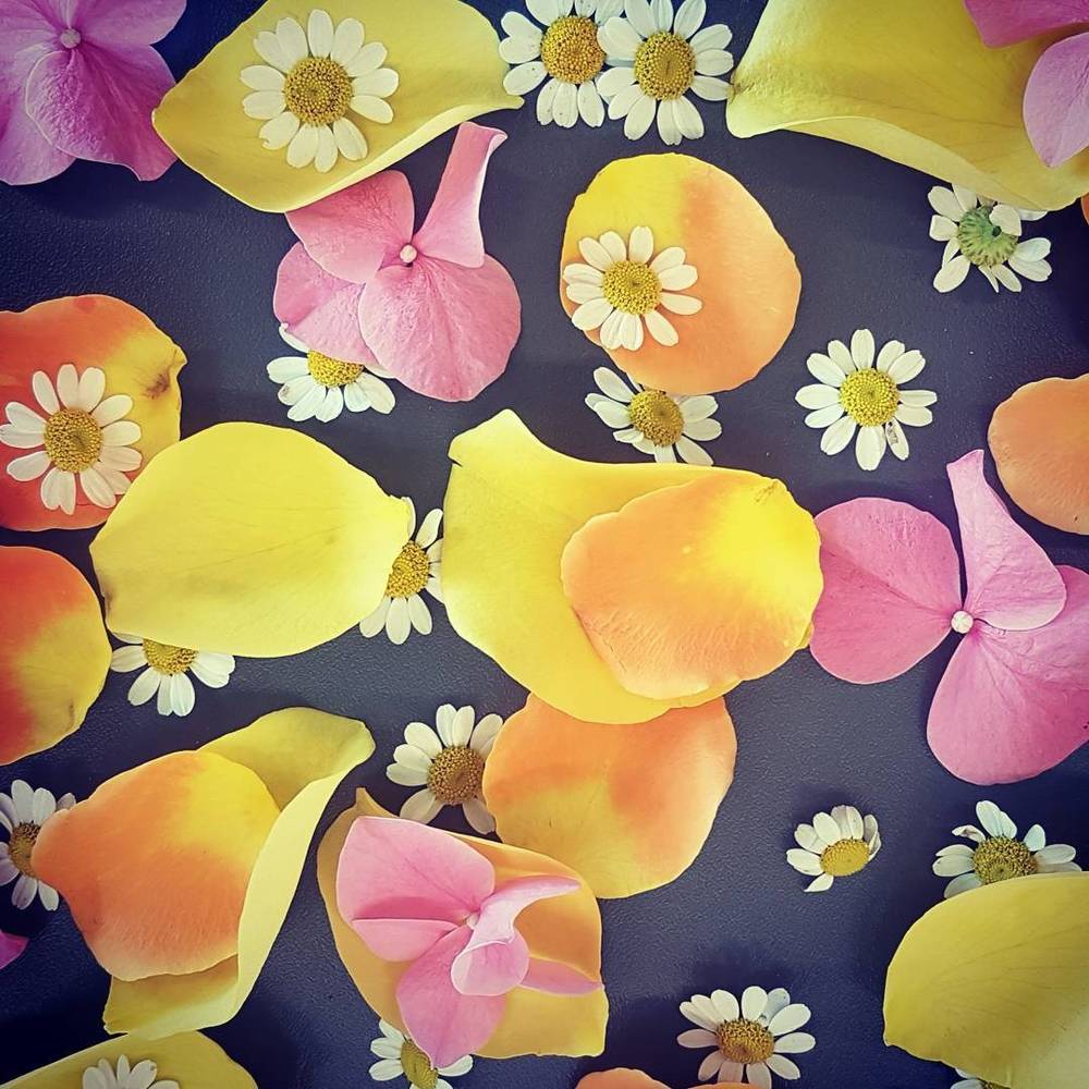 A collage of colourful flower petals and small daisies arranged on a dark background.