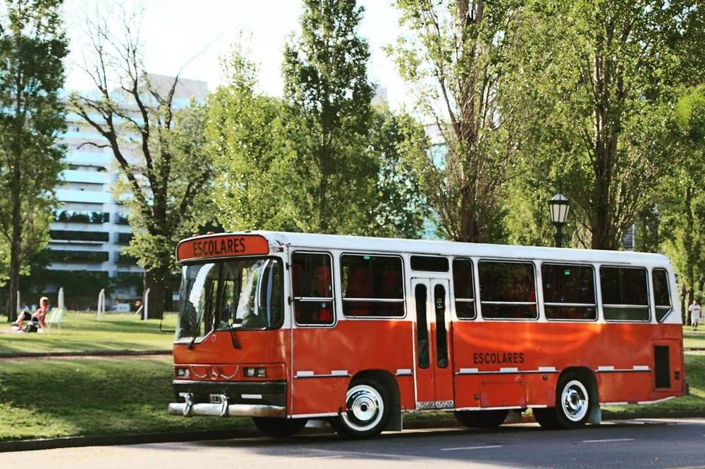 An orange school bus parked in a park lined with trees.