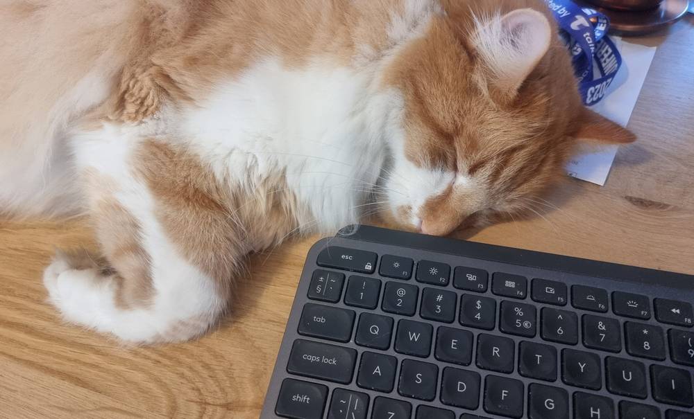 Orange cat laying on a wooden desk against a keyboard