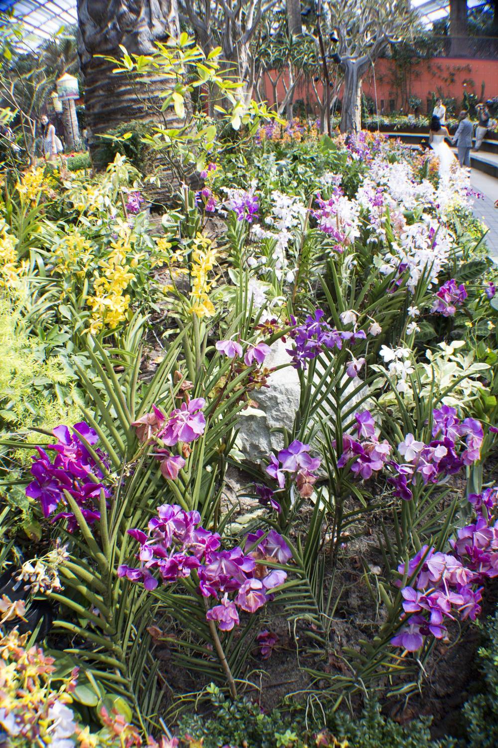 Singapore 2016 · Flower Dome, Gardens by the Bay