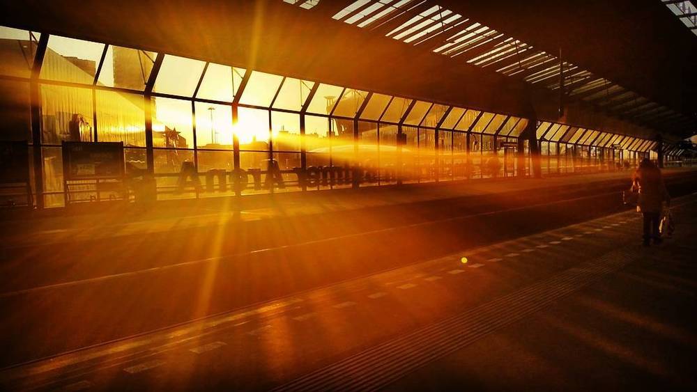 Last sunbeams of the day