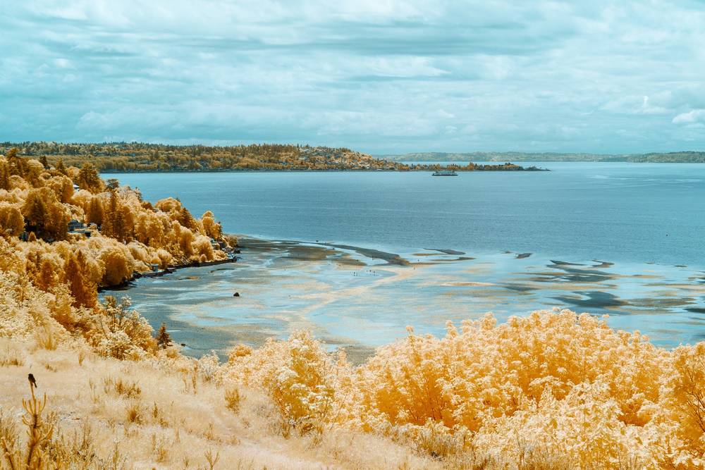 Discovery Park 590nm IR