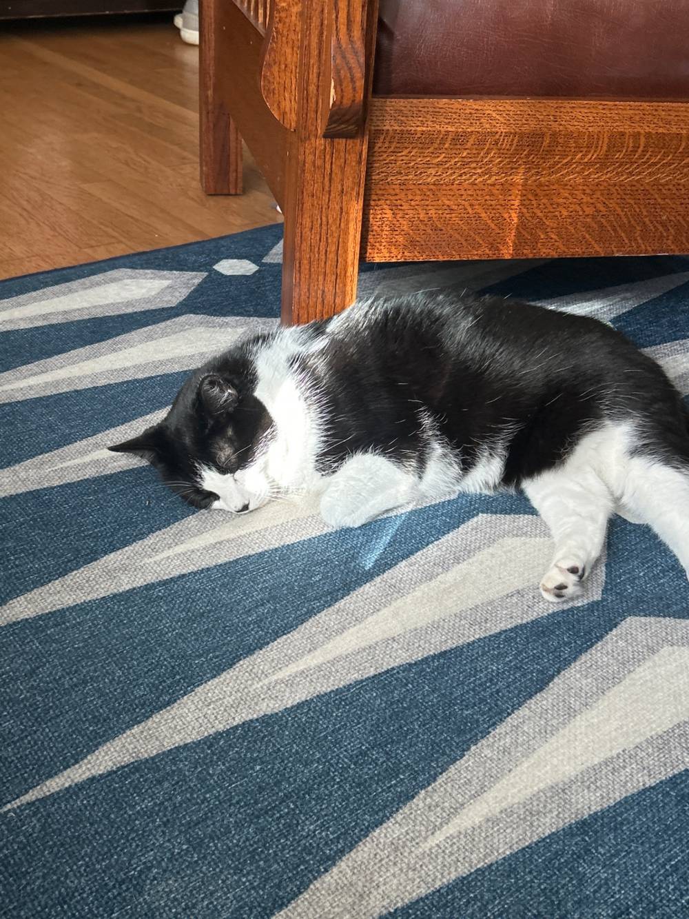 Oreo