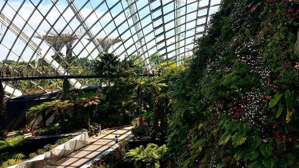 Interior view of a glass conservatory filled with tropical plants.