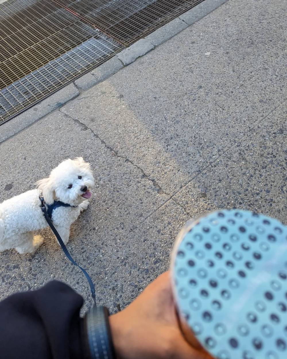 Kibi really wanted mama's bubble tea 🫣🧋