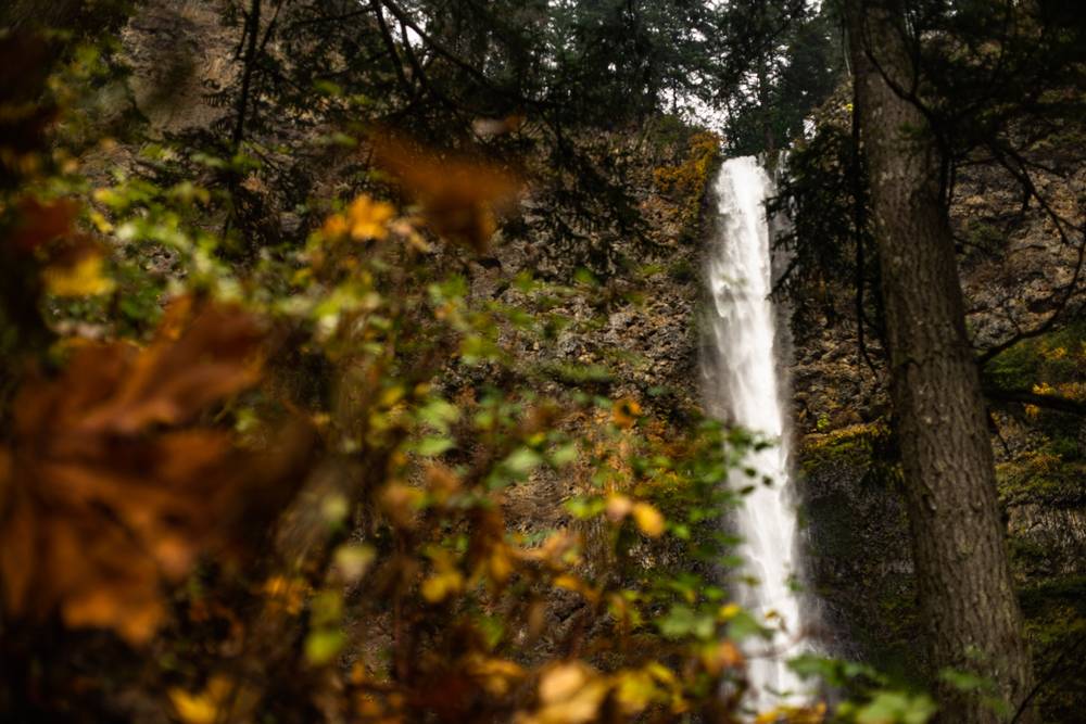 Pacific Northwest, November 2021