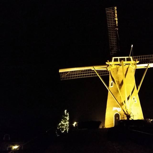 A traditional Dutch windmill illuminated at night with a small Christmas tree beside it.