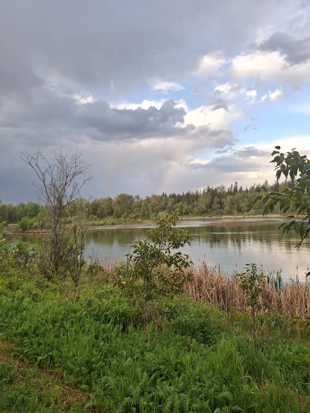 Double Rainbow