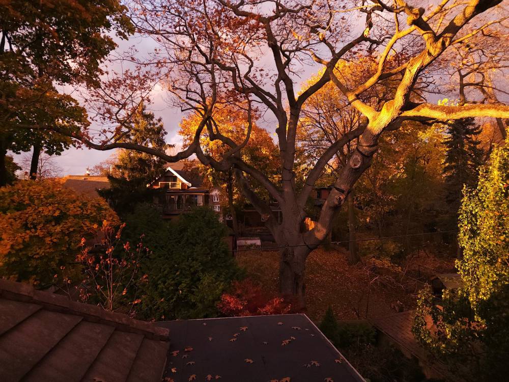 Fall in Toronto