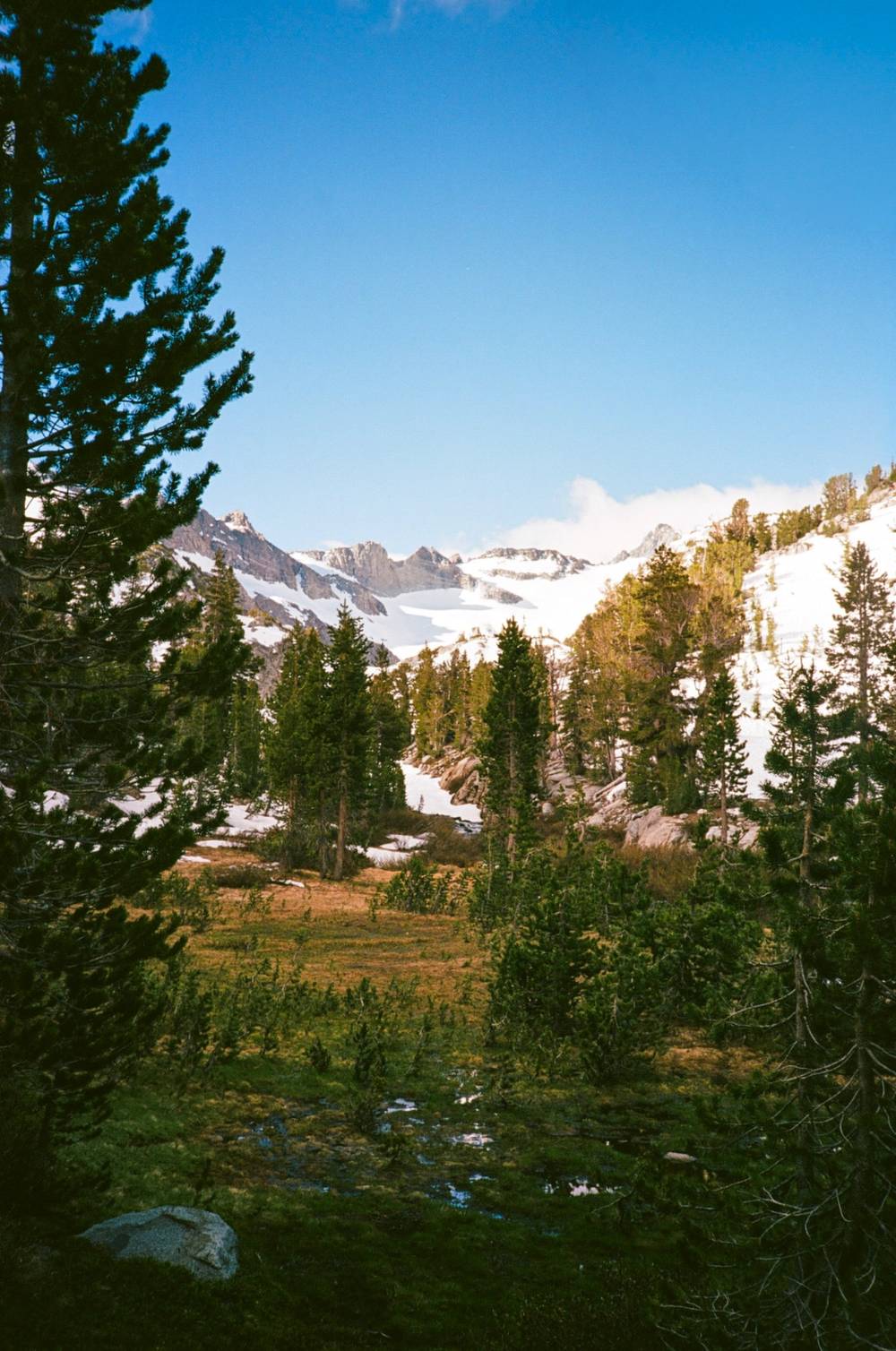 Yosemite NP