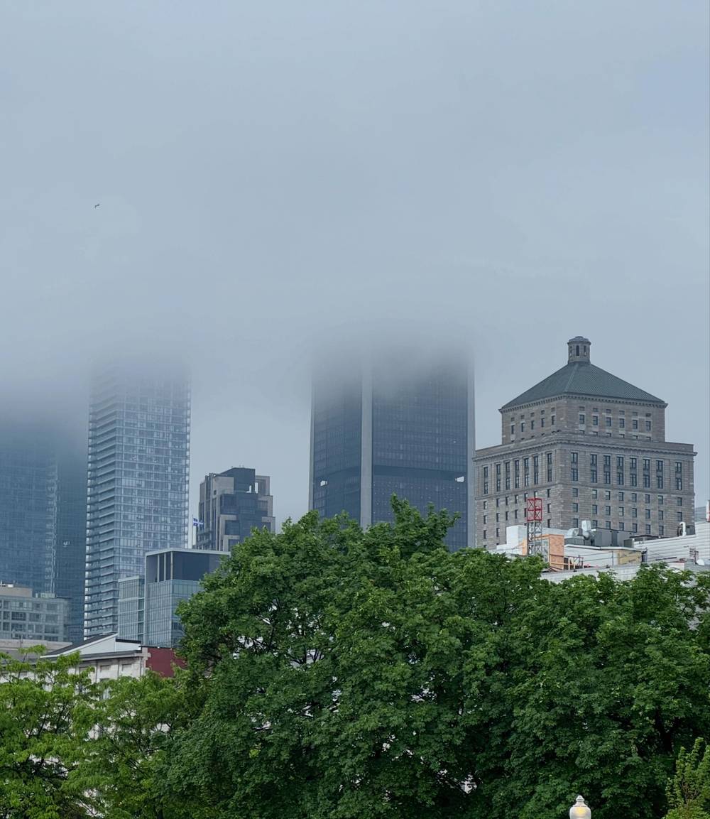 Jun 11, 2026, photo 2 of 19
