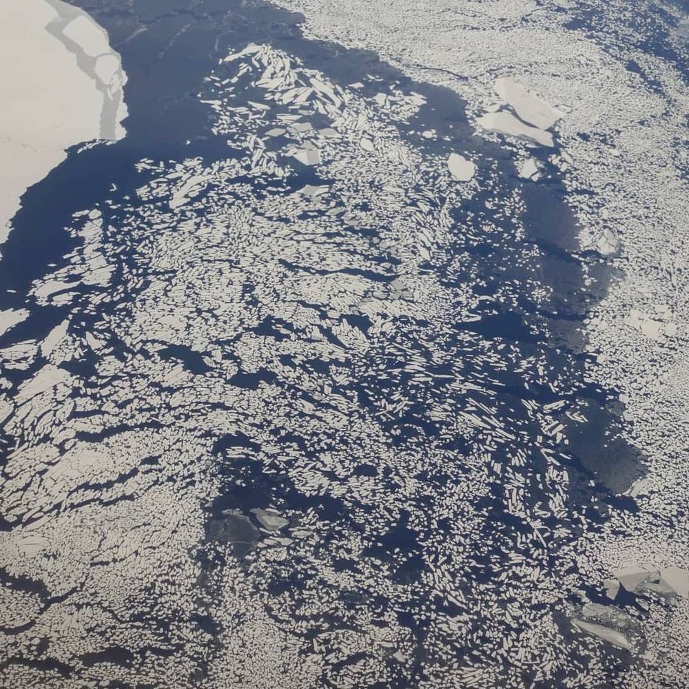 Aerial view of ice floes floating on dark water.