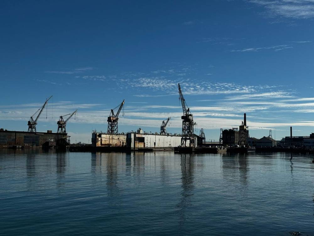 cranes on the bay
