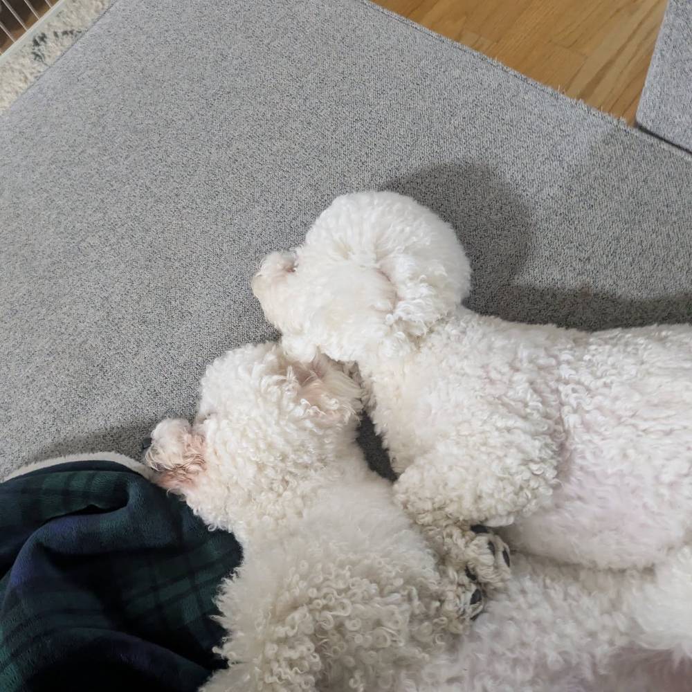 Cuddling with Kewpie while mommy watches TV