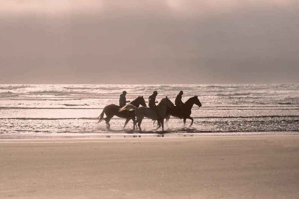 Silhouetted Riders on Wheeler's Windswept Shore