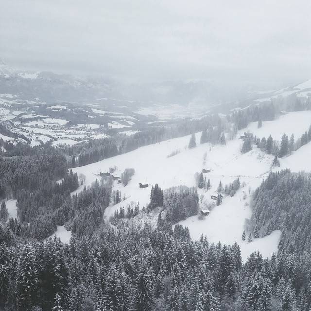 An aerial view of a snowy alpine valley with forests and small chalets.