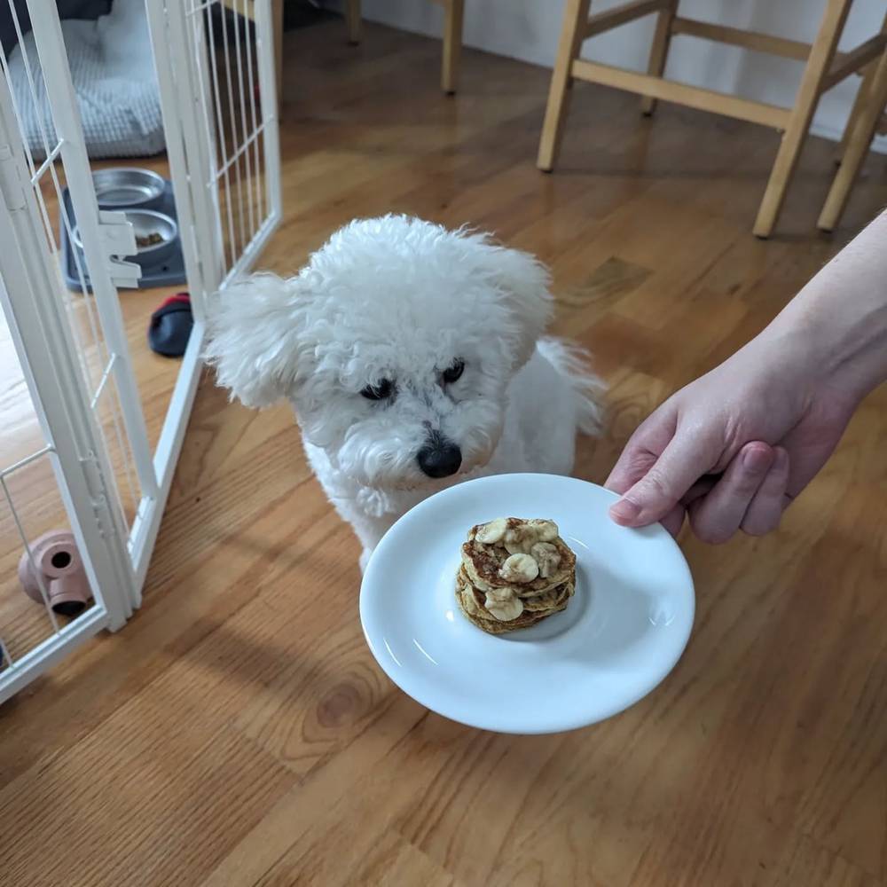 When Mom and Dad make pancakes I get my own 🥞