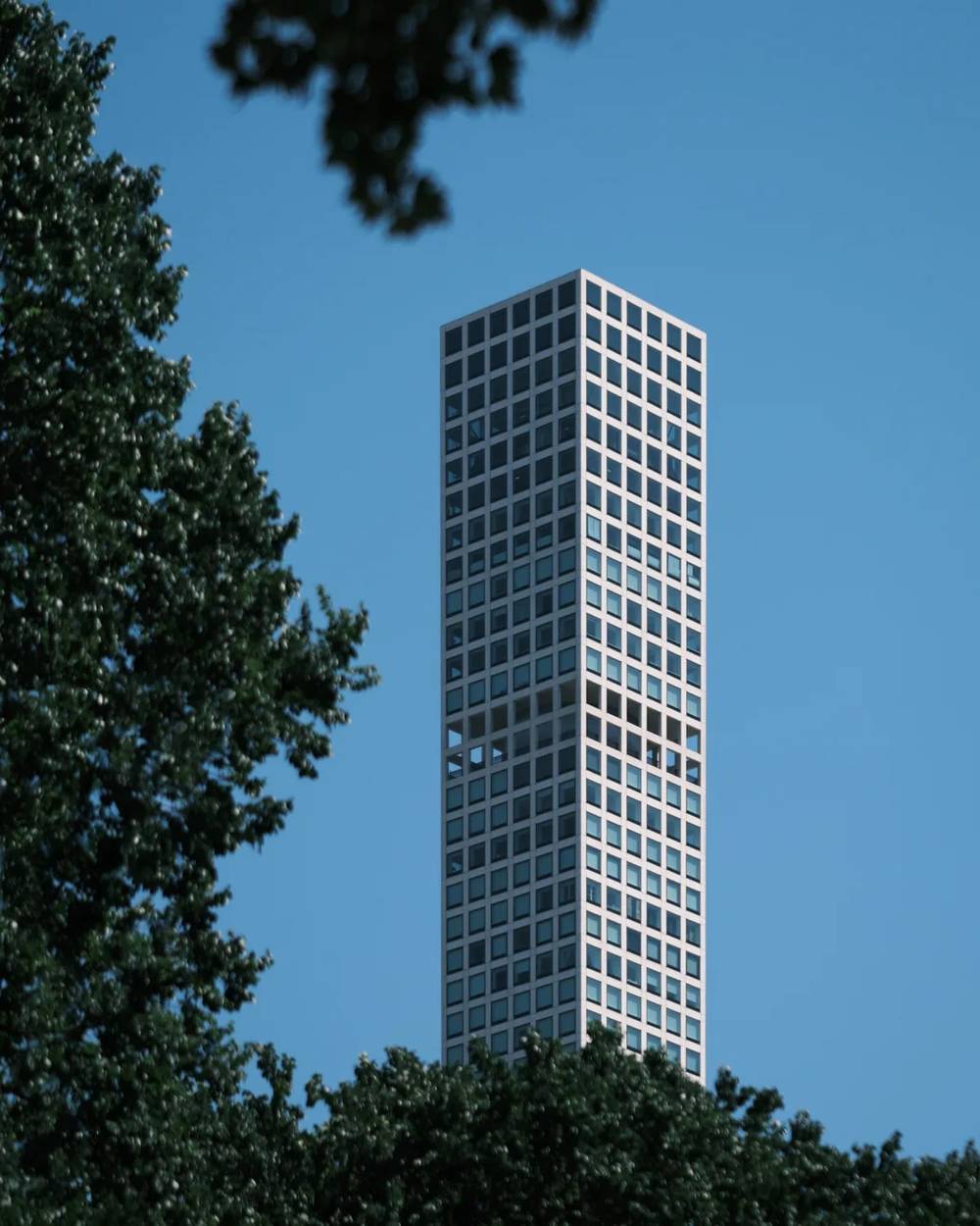 Manhattan Tower Through Central Park Canopy