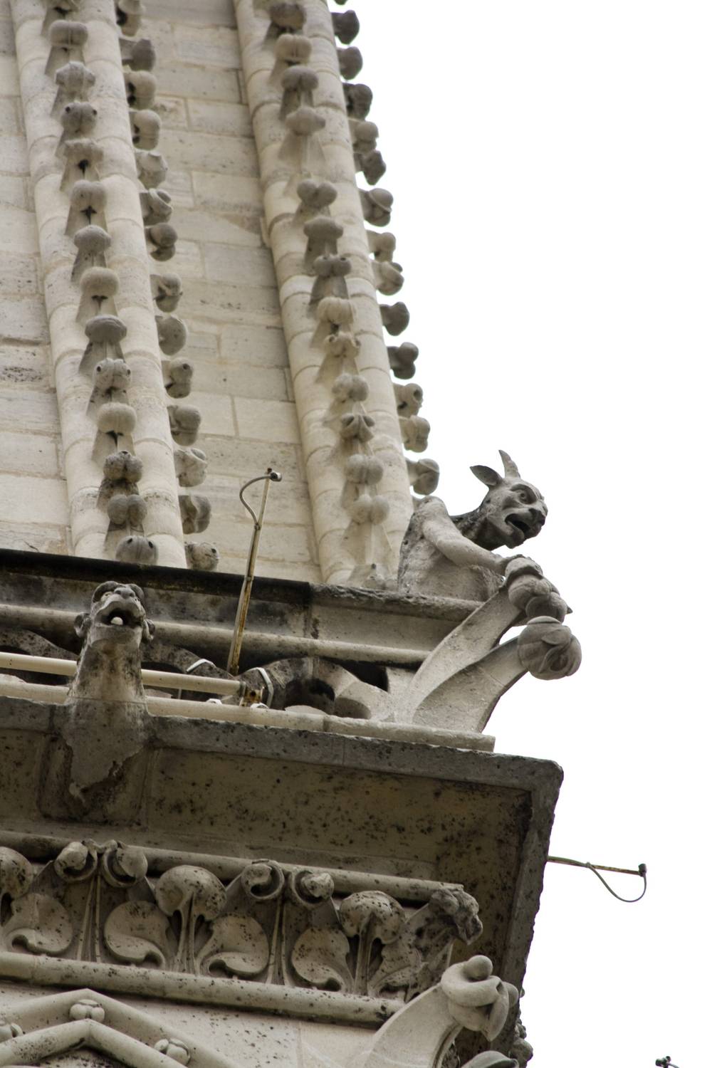 Paris 2010 · Notre-Dame towers and gargoyles, Paris