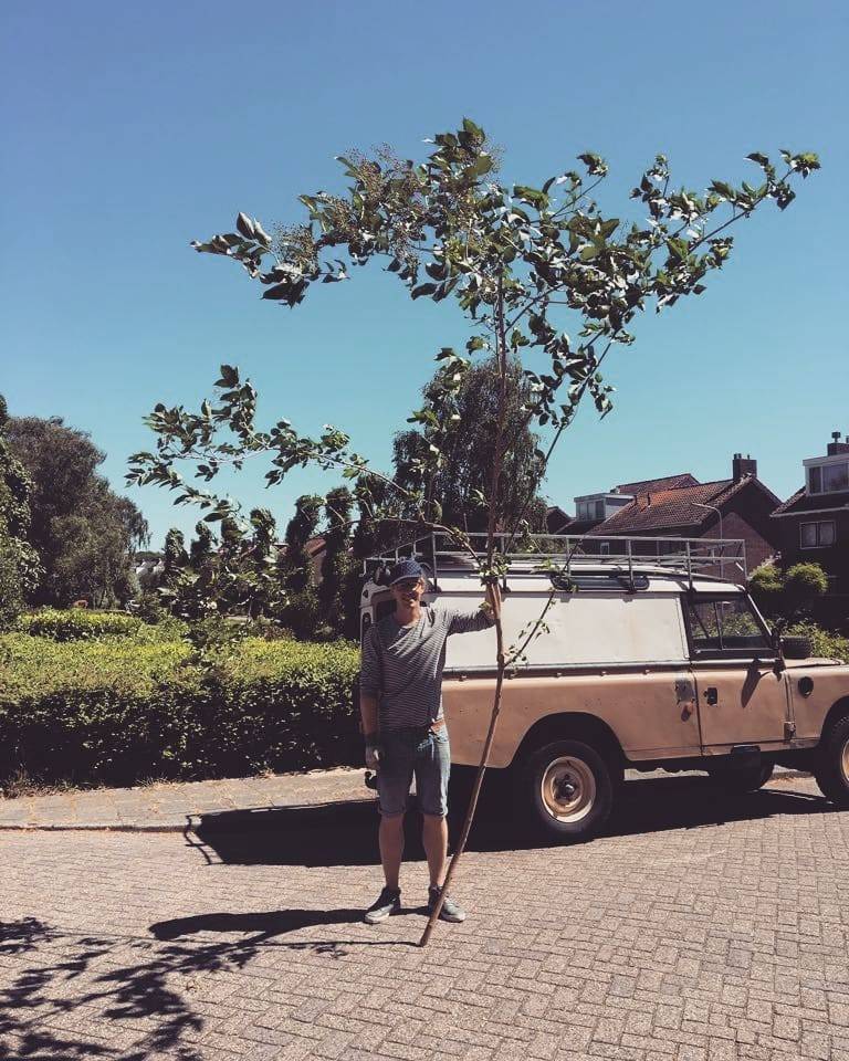 A man standing next to a small tree and a Land Rover, outdoors.