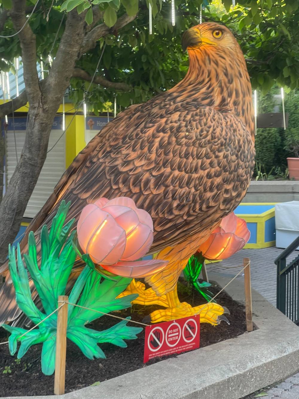 A latern of a falcon